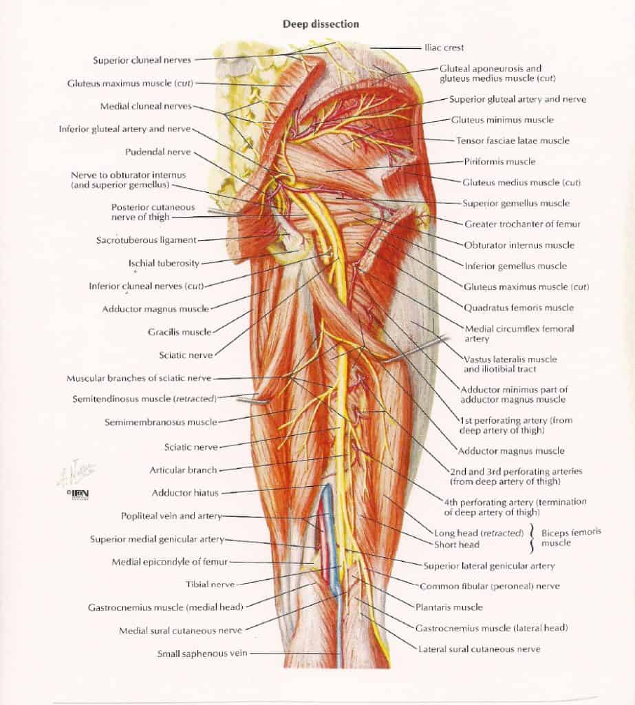 Our Functional Bowen Method™ - Knowmor Inc.